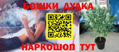 spice Бузулук