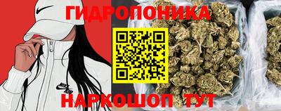 кокс Будённовск