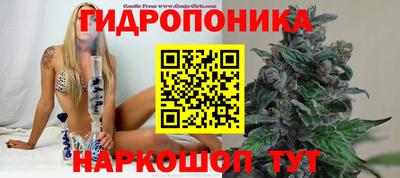 spice Бузулук