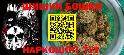 крисы Кулебаки