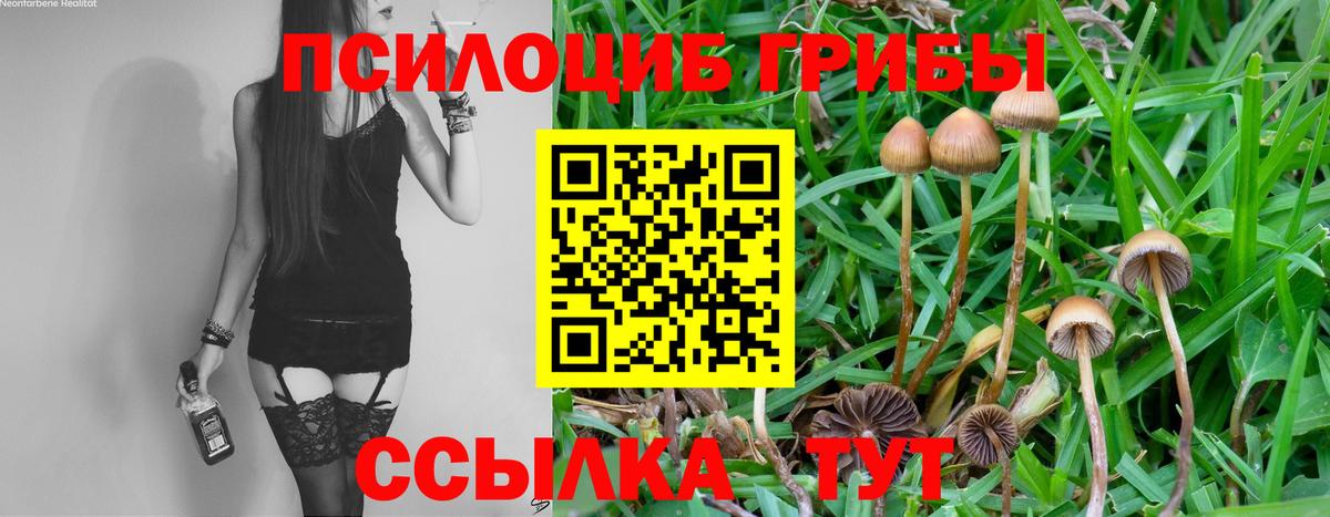 Галлюциногенные грибы Magic Shrooms  Галлюциногенные грибы Cubensis  Вход с VPN  Элиста 