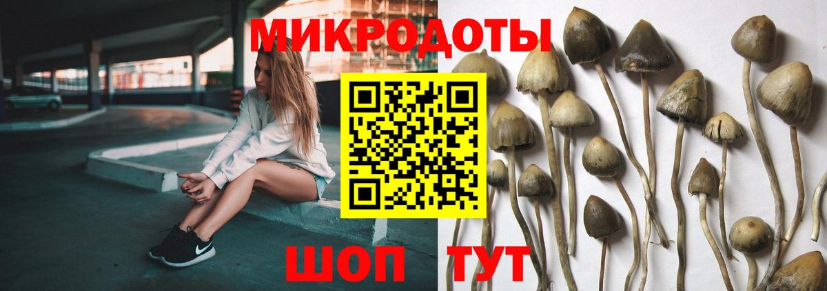 Галлюциногенные грибы мухоморы Элиста