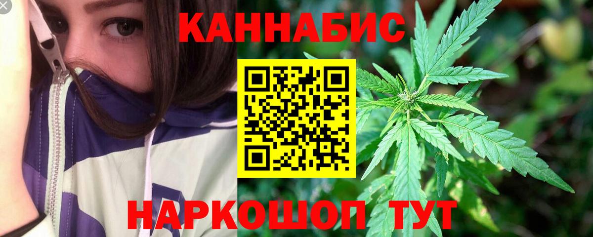 APVP Элиста